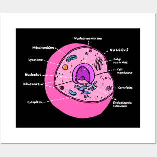 Cell (Biology Poster) Posters and Art